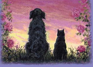 GRAPHIC Maddie Katie.jpg good one