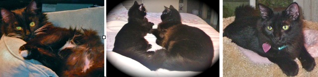 Tallie_and_K_collage