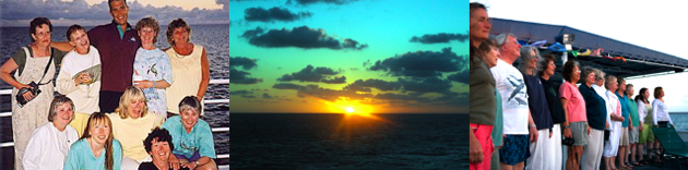 Whales-Martha-sunset