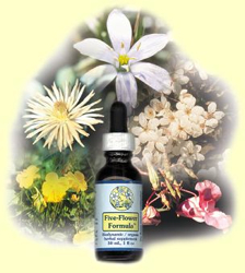 FES Five Flower Formula